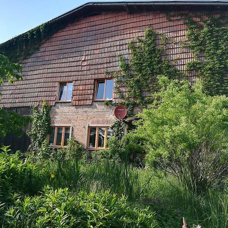 Ferien in der Scheune Dettmannsdorf Exterior foto