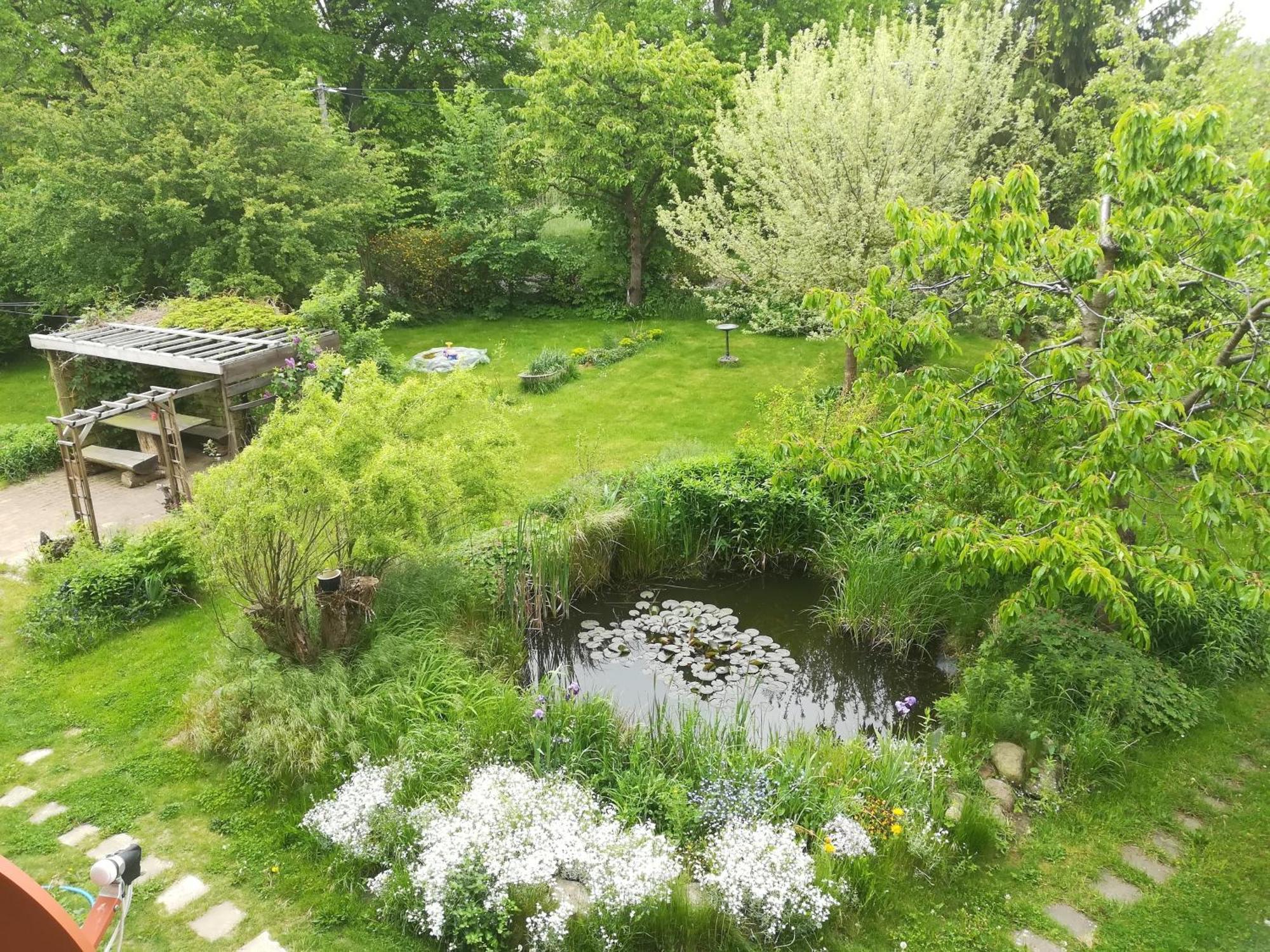 Ferien in der Scheune Dettmannsdorf Exterior foto